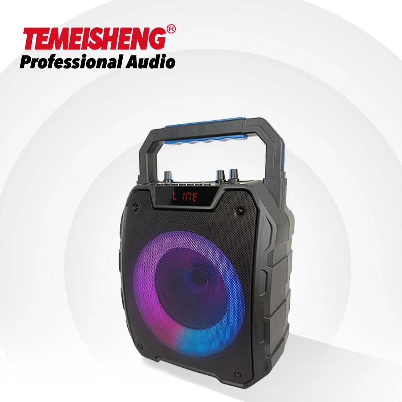 Temeisheng Caxia De Som Tws DJ Box Wireless Powered Professional Portable Audio Mini Bluetooth Speaker with FM Radio