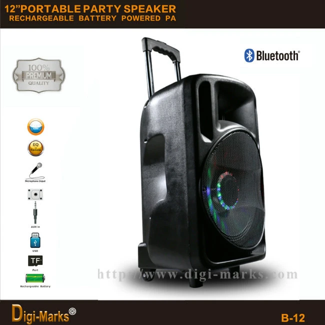 New 12&prime;&prime; Popular Bluetooth Wireless MP3 FM/USB/SD/TF Mini Speaker