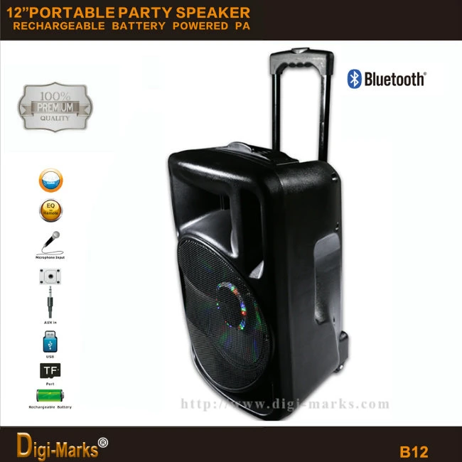 New 12&prime;&prime; Popular Bluetooth Wireless MP3 FM/USB/SD/TF Mini Speaker