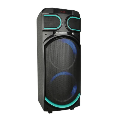 Temeisheng Dual 8inch Big Bass Woofer Outdoor Party Bluetooth Speaker